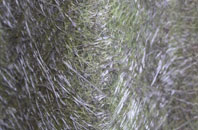 Little Layton fibreglass roof work